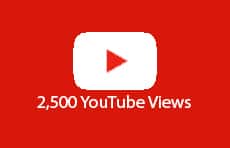 2500 YouTube Views