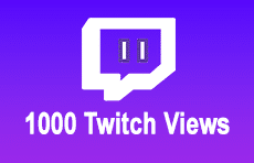 1000 Twitch Views