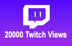 20000 Twitch Views