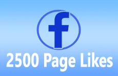 2500 Fb Page Likes