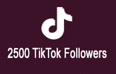 2500 TikTok Followers