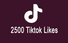 2500 TikTok Likes