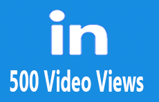 500 LinkedIn Video Views 1