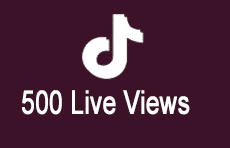 500 Tiktok Live Views