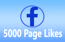 5000 Fb Page Likes