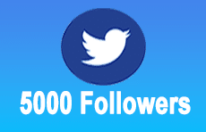 Bay 5000 Twitter Followers