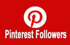 100-1000 Pinterest Followers