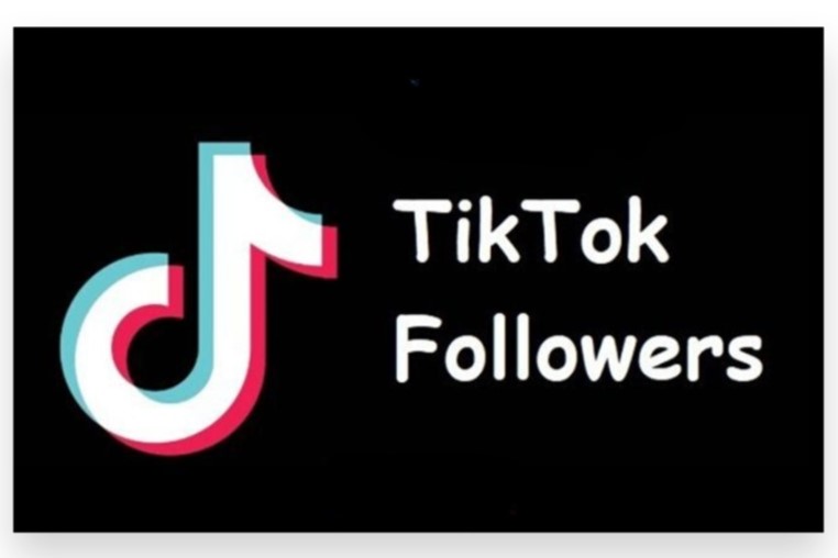 how many followers do i have in TikTok