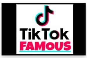 how to get tiktok famous