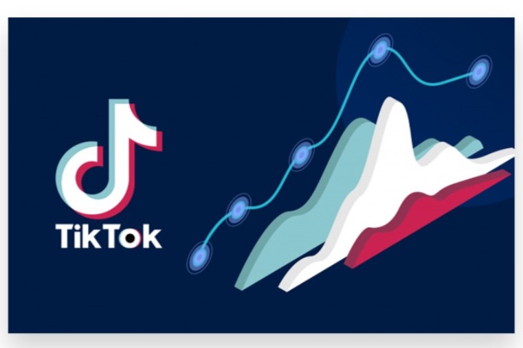 views TikTok